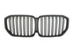 Noir mat / Double lame Grilles de calandre noires type M Performance pour BMW X5 G05 (2018 - Aujourd'hui) BMW X5 G05 - Grilles de calandre noires type M Performance (2018 - Aujourd'hui)